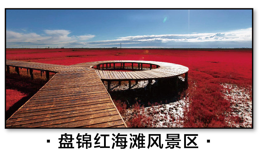 1591326996902075.jpg 盤(pán)錦紅海灘風(fēng)景區(qū).jpg