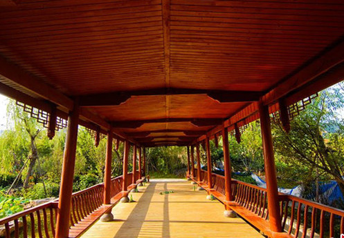 1591327924118255.jpg 青島世界園藝博覽會(huì).jpg